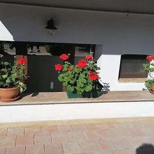 Ana Boutique